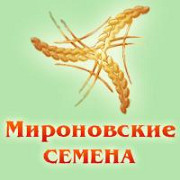 Сім'я гречки сорту "Українка" - еліта / 1 репродукція, Київська область. Україна