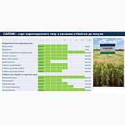 Насіння ячменю ярого Саломі, перша репродукція, Київська область. 