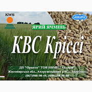 Насіння ярого ячменю КВС Кріссі (СН, перша), Житомирська область. Украйна