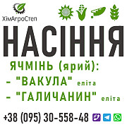 Елітне насіння ярого ячменю від ТОВ "ХімАгроСтеп" - Сорт Вакула / Сорт Галичанин (рік 2023), Сумська 