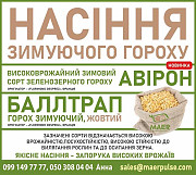 Реалізуємо насіння озимого гороху Авірон, Балтрап, Полтавська область. 