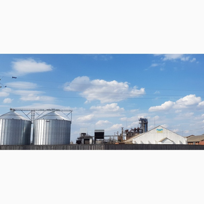 Продаж елеватора 55 тис. тонн зберігання, Сумська область, Сумська область.  - зображення 1