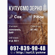 КУПЛЮ сою оптом постійно ГМО та не ГМО. Самовивіз. Дзвоніть, Волинська область. Україна