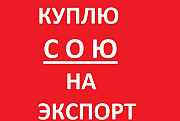 Куплю Сою на Експорт, Вінницька область. Україна