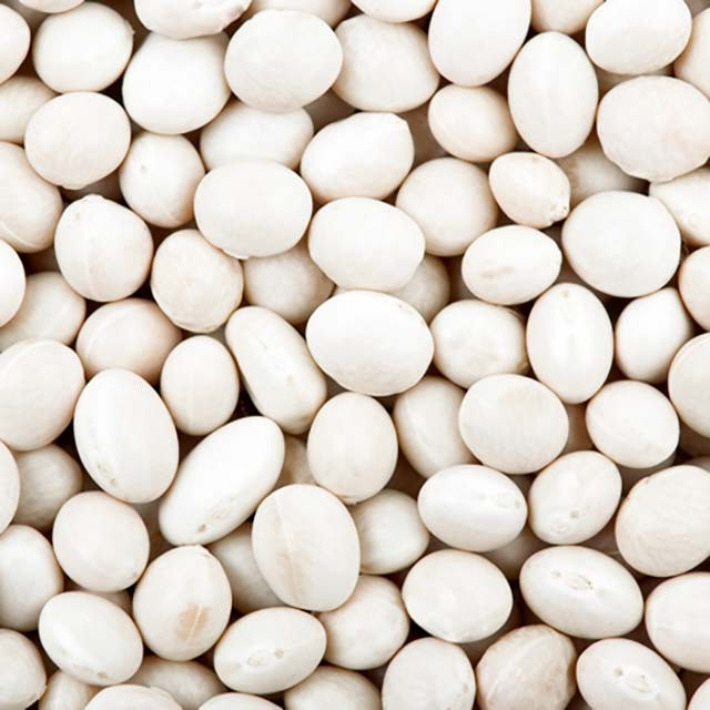 Закупуємо квасолю різних сортів, Хмельницька область.  - зображення 1