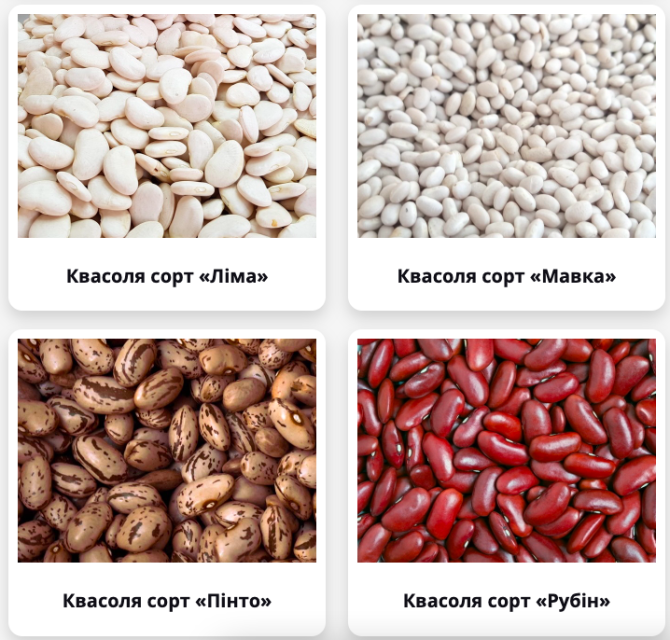 Продам квасоль оптом (від 5 тонн), Київ.  - зображення 1