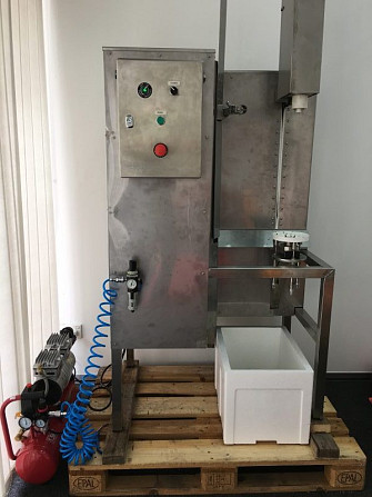 Машина для очищення від шкірки ананасів, динь, кавунів, гарбузів, Закарпатська область.  - зображення 1