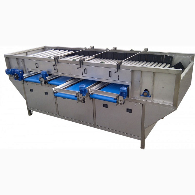 Роликовий калібрувальник овочів RS/RS-H, PRO-VEGA, Київ.  - зображення 1