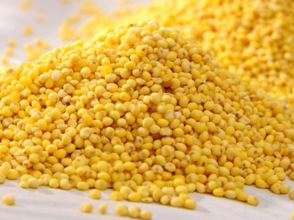 Продам просо жовте 4000 тонн, Одеська область, Суворове.  - зображення 1