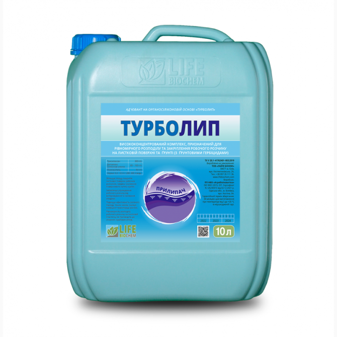Турболип прилипач ґрунтовий, Київ.  - зображення 1
