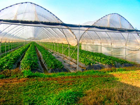 Мульчувальна плівка в асортименті Vatan Plastik, Закарпатська область.  - зображення 1