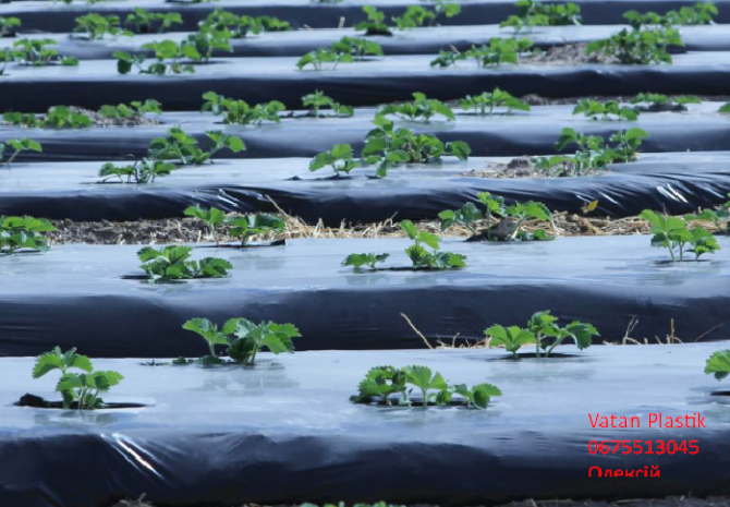 Плівка для мульчування у асортименті Vatan Plastik, Тернопільська область.  - зображення 1