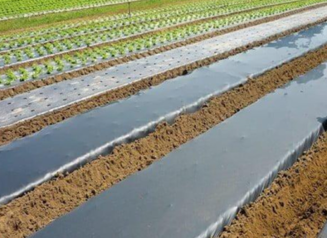 Плівка для мульчування без перфорації у асортименті Vatan Plastik, Рівненська область.  - зображення 1