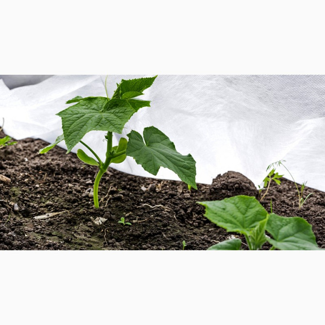 Агроволокно Агротекс 3, 2х100, 50 щільність, Київ.  - зображення 1