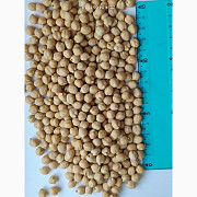 Продам нут (турецький горох, chickpeas) - 200 т., с/г виробник, без готівки з ПДВ, доларовий контрак 