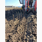 Саджалка для підщепки та саджанців Solan, Тернопільська область. Украйна