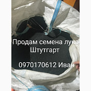 Продам насіння цибулі Штутгарт, Одеська область. 