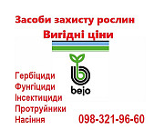 Розпродаж залишків насіння овочів Bejo (Нідерланди), Vilmorin (Франція) за хорошими цінами, Волинськ 