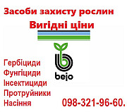 Продам фірмові якісні насіння овочів - недорого, Bejo, Vilmorin, Нікерсон, Волинська обл. 