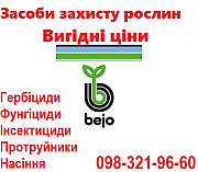 Професійні насіння моркви Vilmorin Франція, Bejo Нідерланди, Seminis, (Оптові ціни), Київ. 