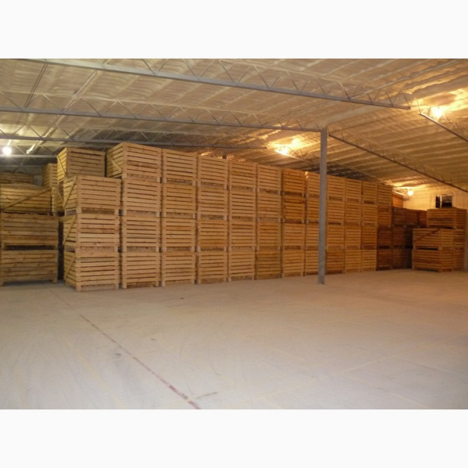 Овочесховище. Обладнання для зберігання овочів, Київ  - зображення 1