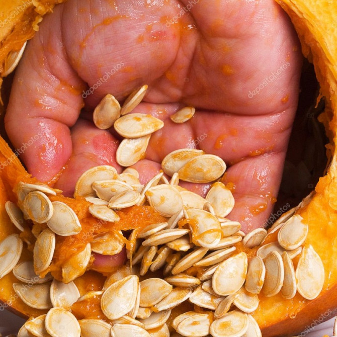 Купую насіння гарбузове у населення, можливий самовивіз, Кіровоградська область.  - зображення 1