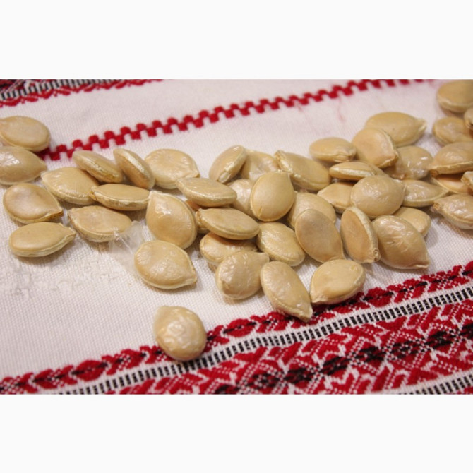 Семена тикви Рожевий фламінго на посадку, Київська область.  - зображення 1