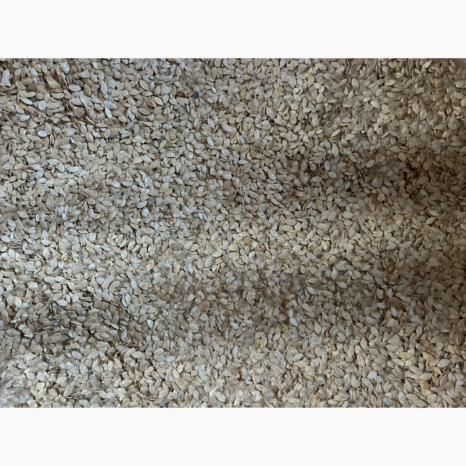 Гарбузове насіння, Черкаська область.  - зображення 1