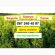 Продам Буряк по найнижчій ціні від виробника 60 грн/кг (опт), Дніпропетровська область. 