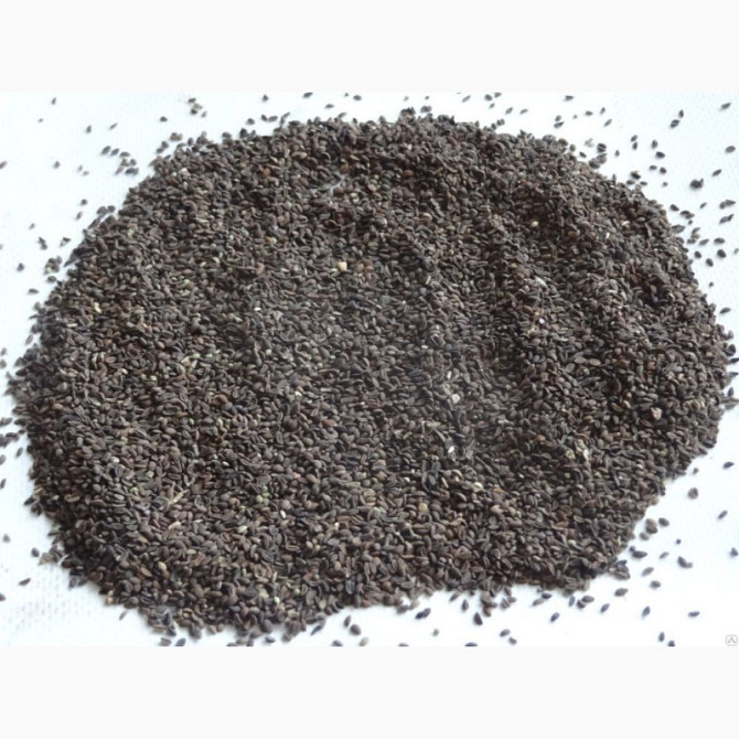 Куплю насіння фацелії, Херсон, Херсонська область.  - зображення 1