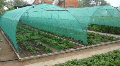 Сетка затеняющая Karatzis зеленая (8х50) 35%, Одеська обл.  - зображення 1