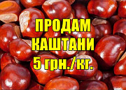 Продам каштани. жеткирүү 