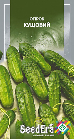 Огірок Кущовий 20г SeedEra. Херсон - зображення 1