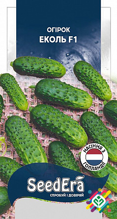Огірок Еколь 10 шт SeedEra. Херсон - изображение 1