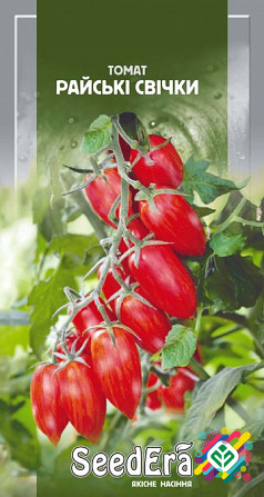 Помідор Райські свічки 0,1 г SeedEra. Херсон - зображення 1
