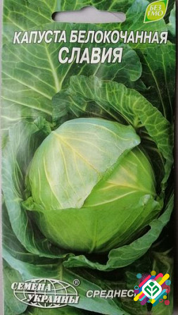 Капуста білоголова Славія 1г Сім'я України. Херсон - зображення 1
