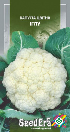 Капуста кольорова Іглу 30 шт SeedEra. Херсон - зображення 1