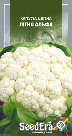 Капуста кольорова Літня Альфа 0,5 г SeedEra. Херсон - зображення 1