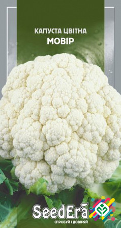 Капуста кольорова Мовир 0,5 г SeedEra. Херсон - зображення 1