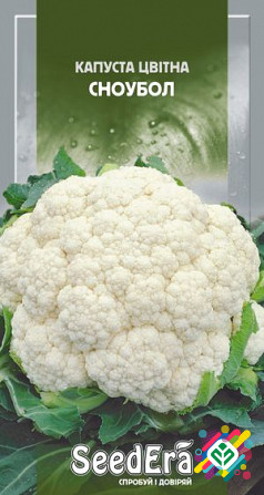 Капуста кольорова Сноубол 0,5 г SeedEra. Херсон - зображення 1