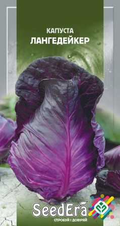 Капуста червонокачанна Лангелейкер 0,5 г SeedEra. Херсон - зображення 1