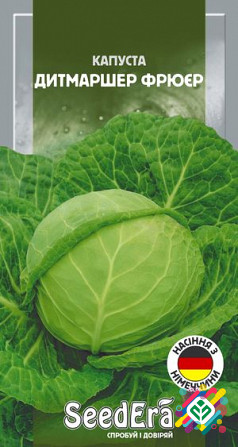 Капуста білоголова Дітмаршер Фрюер 10г SeedEra. Херсон - зображення 1