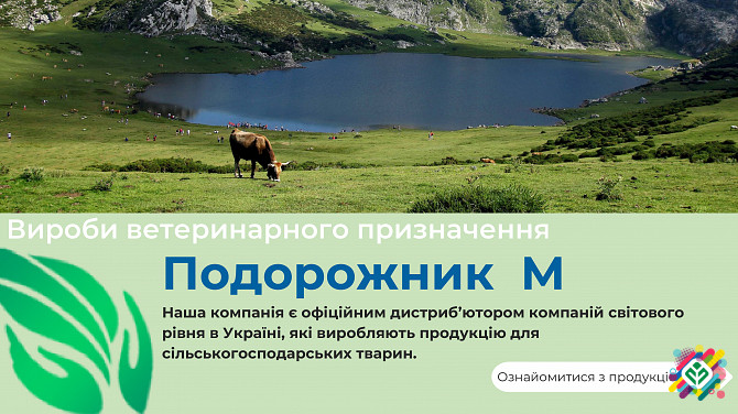 Система забору крові (шприц-пробірка). Бориспіль - зображення 1