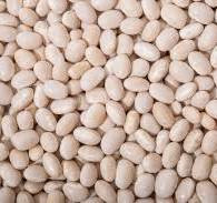 Закупка квасолі на консервування Тернопіль - зображення 1