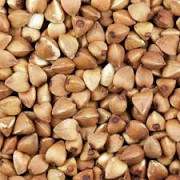 Насіння гречки від виробника | ТОВ Бінс Натурпродукт | Доставка по Україні доставка з м.Луцьк