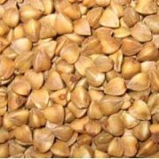 Насіння гречки. Оптовий продаж від виробника доставка з м.Тернопіль