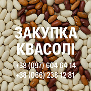 Закупівля квасолі оптовими партіями доставка з м.Вінниця