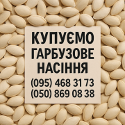 Закупка гарбузового насіння доставка з м.Київ