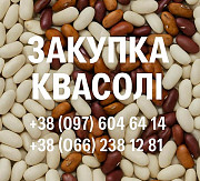 Купуємо квасолю для потреб підприємства доставка з м.Одеса