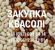 Купуємо квасолю. Заберемо своїм транспортом доставка из г.Тернопіль